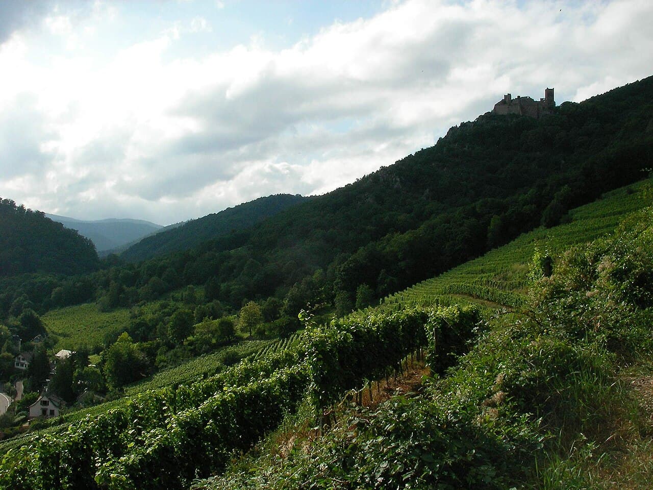 Route des Vins